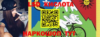 гашик Аргун