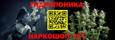 гашик Аргун