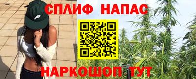 гидра Свободный