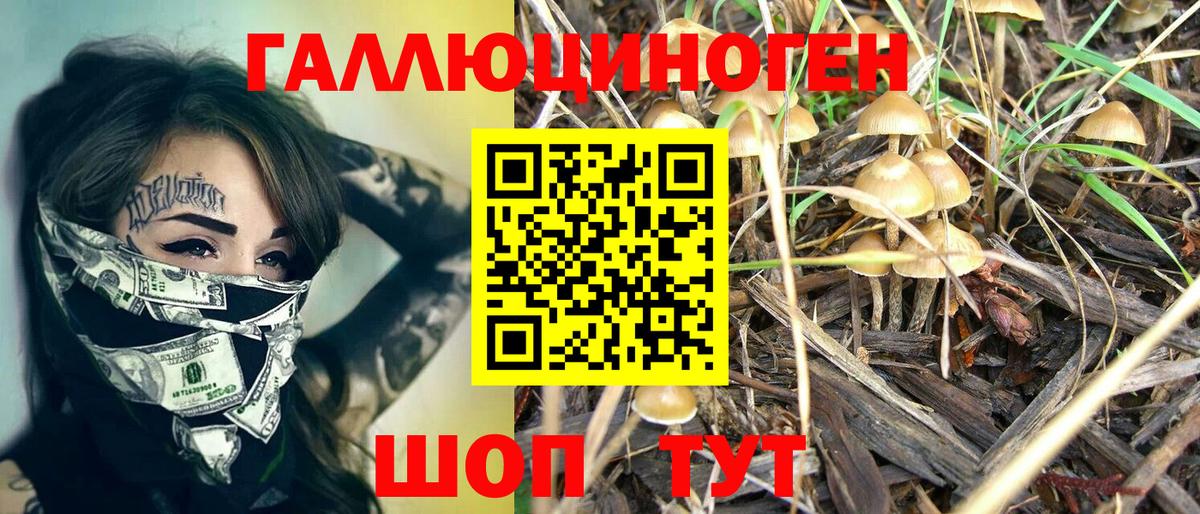 Псилоцибиновые грибы MAGIC MUSHROOMS Сунжа