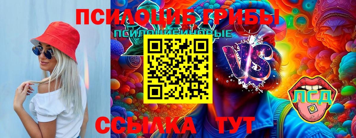 Галлюциногенные грибы ЛСД  Галлюциногенные грибы мухоморы  Вход с VPN  Сунжа 